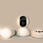 what cameras work with google home