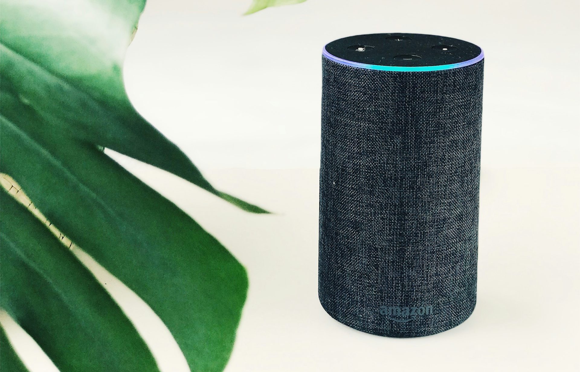 how to turn off alexa